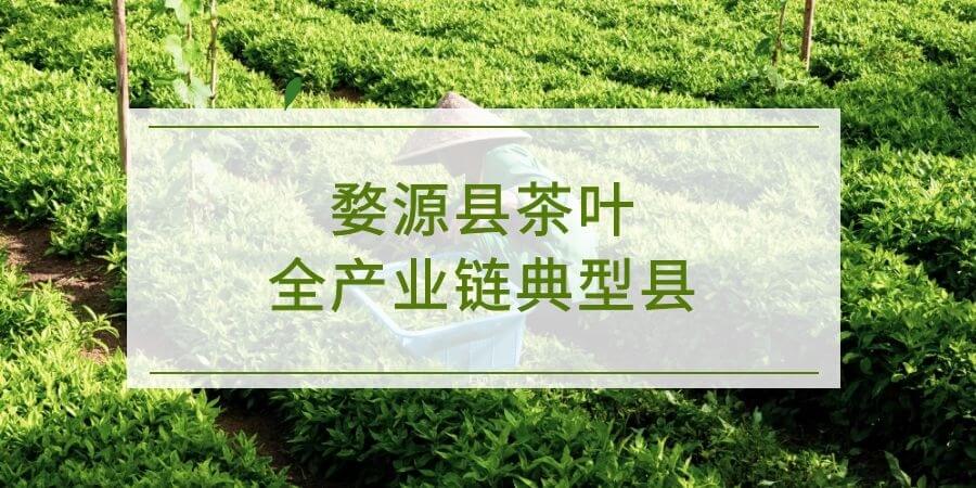 婺源县入选全国农业全产业链典型县建设